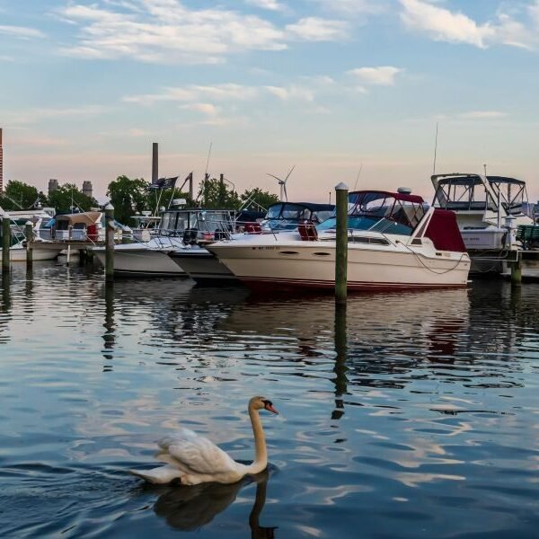 NAEGELI Deposition & Trial