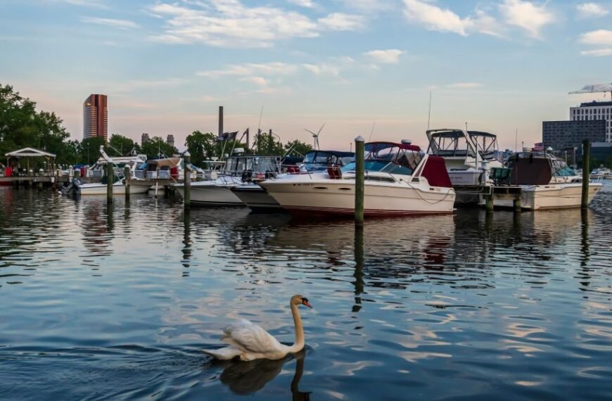 NAEGELI Deposition & Trial