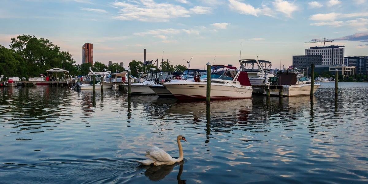 NAEGELI Deposition & Trial