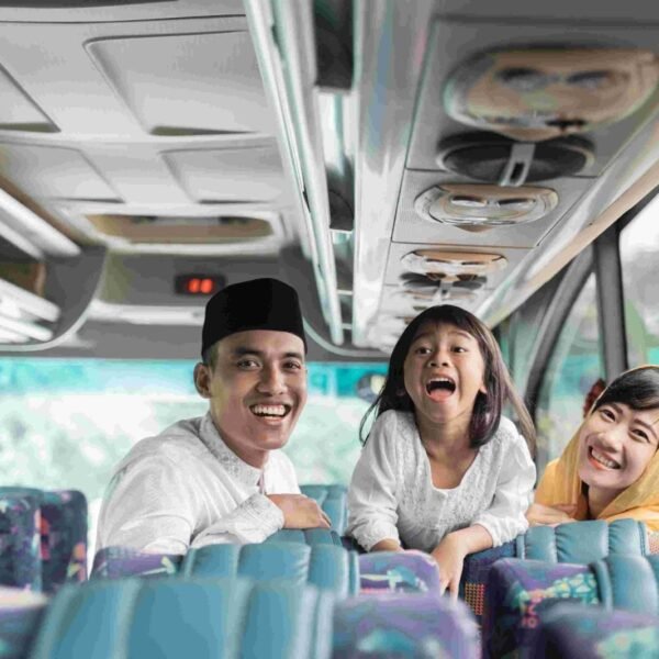 How to Book a Bus to TBS Online in Minutes