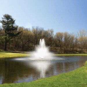 Pond ownership comes with a certain romance. Still water, green surroundings, maybe a few fish catching the light on a warm morning.