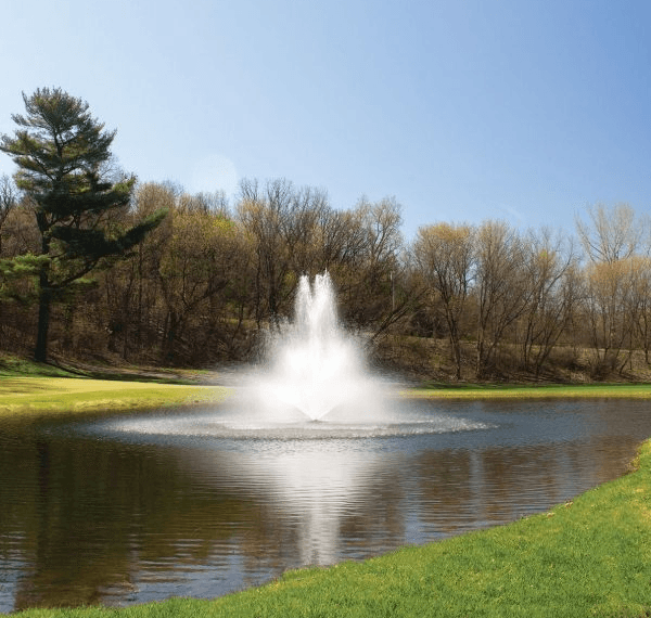 Pond ownership comes with a certain romance. Still water, green surroundings, maybe a few fish catching the light on a warm morning.
