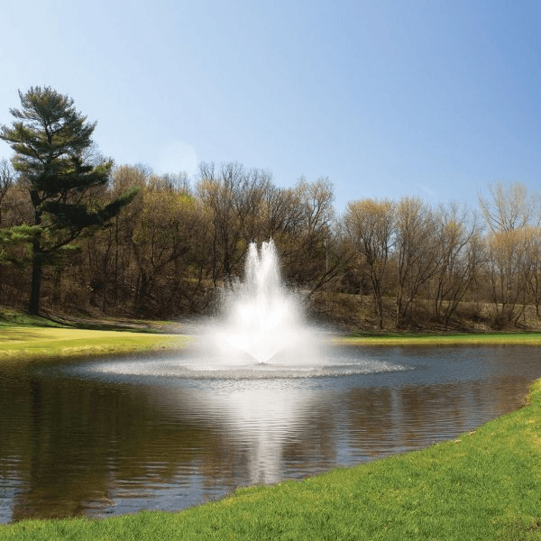 Pond ownership comes with a certain romance. Still water, green surroundings, maybe a few fish catching the light on a warm morning.