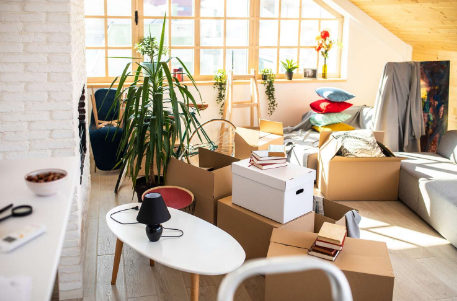 Decluttering Before a Major Home Improvement Project